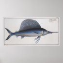 Suche nach tiefseefische poster Segelfische