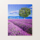 Suche nach provence puzzle Sommer