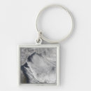 Suche nach wolkenkratzer schlüsselanhänger Fotografie