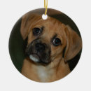 Suche nach puggle ornamente Verzierung