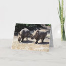 Suche nach rhino karten Natur