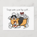Suche nach happy labrador postkarten Retriefe