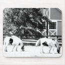 Suche nach ponys mousepads Reiter