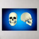 Suche nach seitenansicht poster Menschliche körperteile