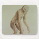 Suche nach evolution mousepads Englisch