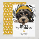 Suche nach riesenschnauzer karten Haustier