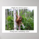 Suche nach habitat poster Wildtiere