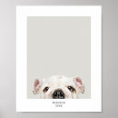 Suche nach katzen hunde poster Hundeliebhaber