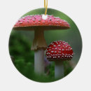 Suche nach pilze ornamente Toadstool