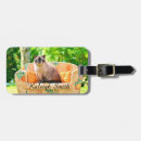 Suche nach sofa accessoires Katze
