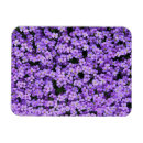 Suche nach lila veilchen magnete Violett