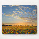 Suche nach sonnenblume mousepads Bauernhof
