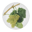 Suche nach weinberg schneidebrettchen Vintag