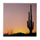 Suche nach saguaro fliesen Sonnenuntergang