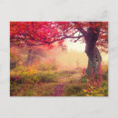 Suche nach wald postkarten Farbe