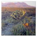 Suche nach trocken fliesen Pinsel