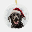 Suche nach schwarzer labrador ornamente Für haustiere
