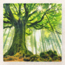 Suche nach moos untersetzer Natur