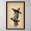 Suche nach flecken poster Vintag