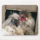 Suche nach henne mousepads Huhn
