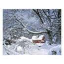 Suche nach einsamer baum poster Landschaft