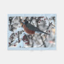 Suche nach rotkehlchen decken Schnee