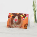 Suche nach rudolf postkarten Tier