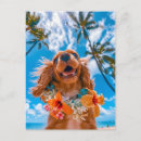 Suche nach spaniel postkarten Hunde