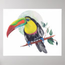 Suche nach exotischer vogel poster Toucan