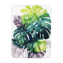 Suche nach fronten magnete Küstenlinie