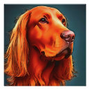 Suche nach irischer setter poster Welpe