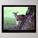 Suche nach bambi poster Hirsche