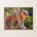 Suche nach fox puzzle Baum