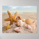 Suche nach weiße muscheln poster Strand