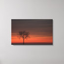 Suche nach baum silhouette leinwandbilder Sonnenaufgang