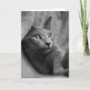 Suche nach blaue augen karten Katze