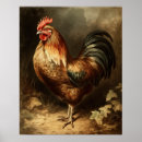 Suche nach rooster poster Hahnenposter