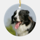 Suche nach keuchen ornamente Hund