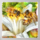 Suche nach imker poster Blume