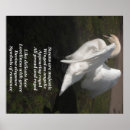 Suche nach swan poster Schwäne