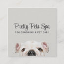 Suche nach tierpflege visitenkarten Kunde