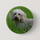 Suche nach draht buttons Foto