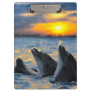 Suche nach delphin klemmbrett Tiere