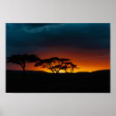 Suche nach serengeti poster Sonnenuntergang