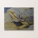 Suche nach feuer andere puzzle Drache