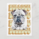 Suche nach english bulldog postkarten Bulldogge