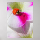 Suche nach marienkäfer poster Rot