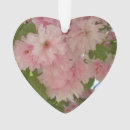 Suche nach kirschbaum ornamente Blume