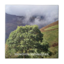 Suche nach schmutzig fliesen Jede person