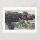 Suche nach palomino postkarten Hengst